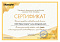 Сертификат на товар Мат №6 150х100х10см Kampfer Black, винилискожа, черно-желтый (складной)