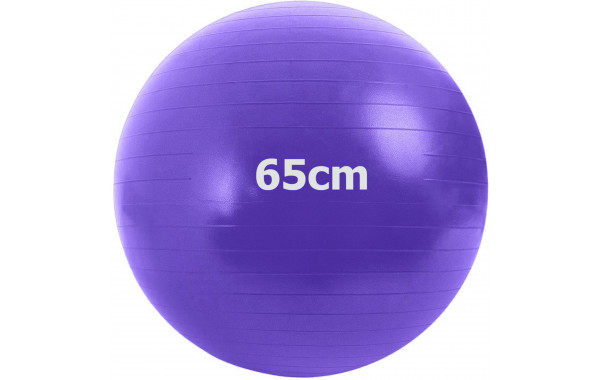 Мяч гимнастический Anti-Burstl d65 см Sportex GMA-65-D фиолетовый 600_380