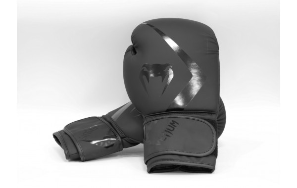 Перчатки тренировочные 10 oz Venum Rumble Advance 05089-114 черный 600_380