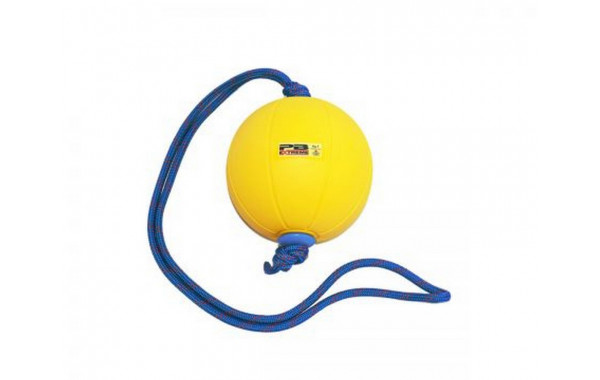 Функциональный мяч 1 кг Perform Better Extreme Converta-Ball 3209-01-1.0 желтый 600_380