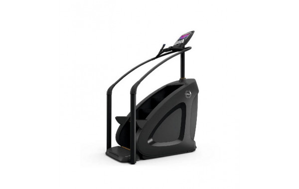 Степпер лестничного типа Stairmill AnyFit AI-3 600_380