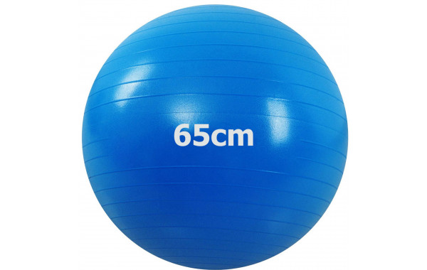 Мяч гимнастический Anti-Burstl d65 см Sportex GMA-65-B синий 600_380