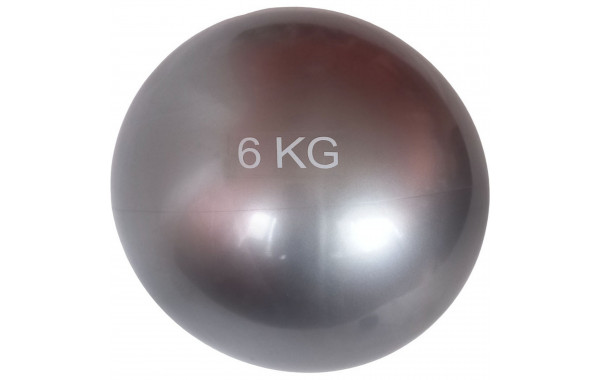 Медбол 6 кг, d20см Sportex MB6 серебро 600_380