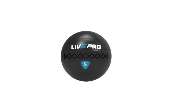 Медбол 10кг Live Pro Wall Ball PRO LP8103-10 600_380