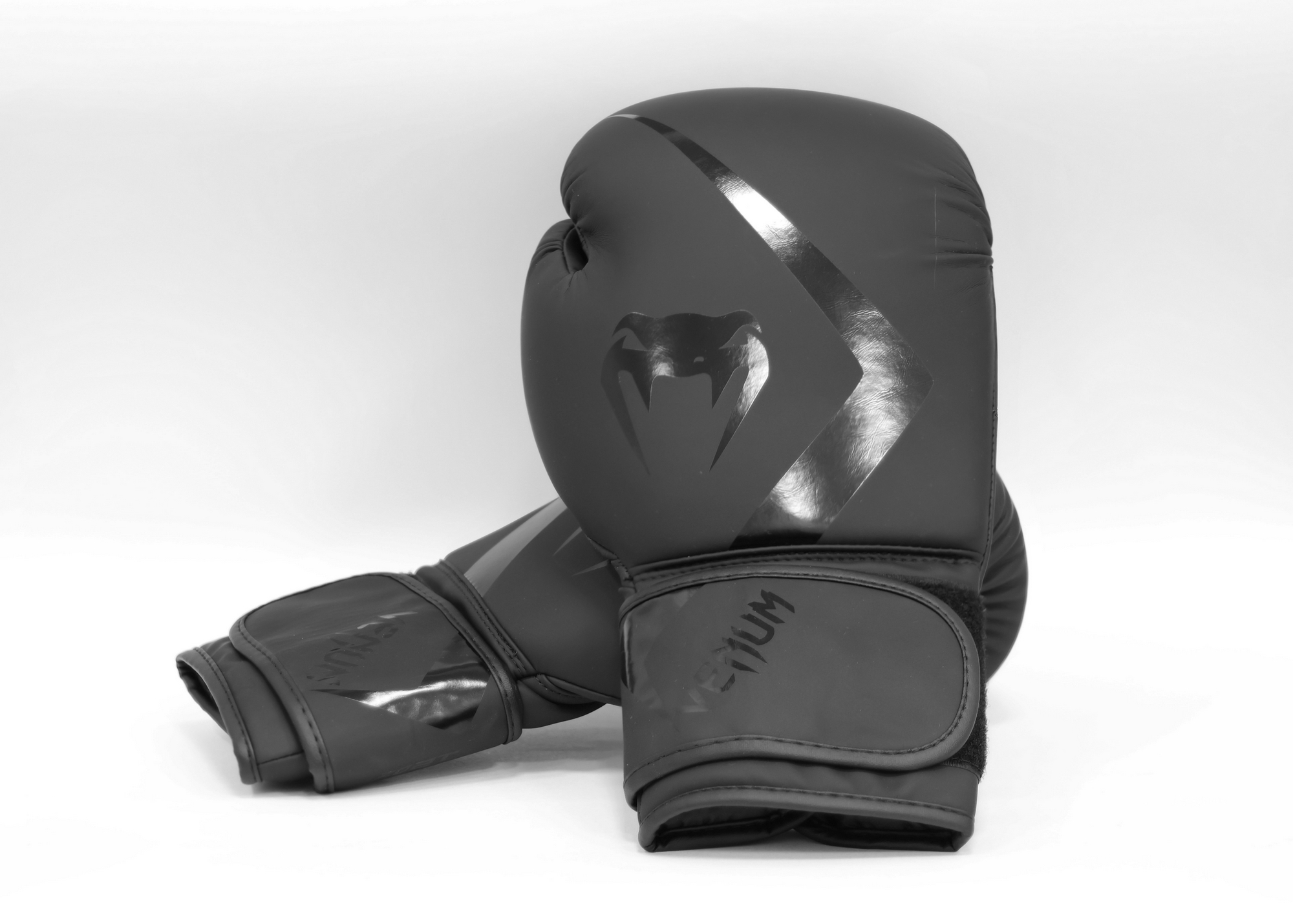Перчатки тренировочные 10 oz Venum Rumble Advance 05089-114 черный 2000_1429