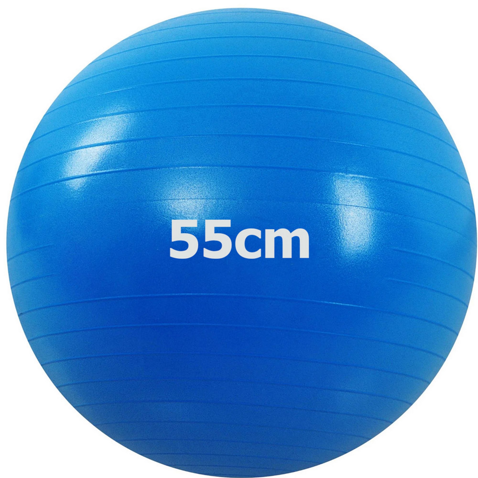 Мяч гимнастический Anti-Burstl d55 см Sportex GMA-55-B синий 2000_2000