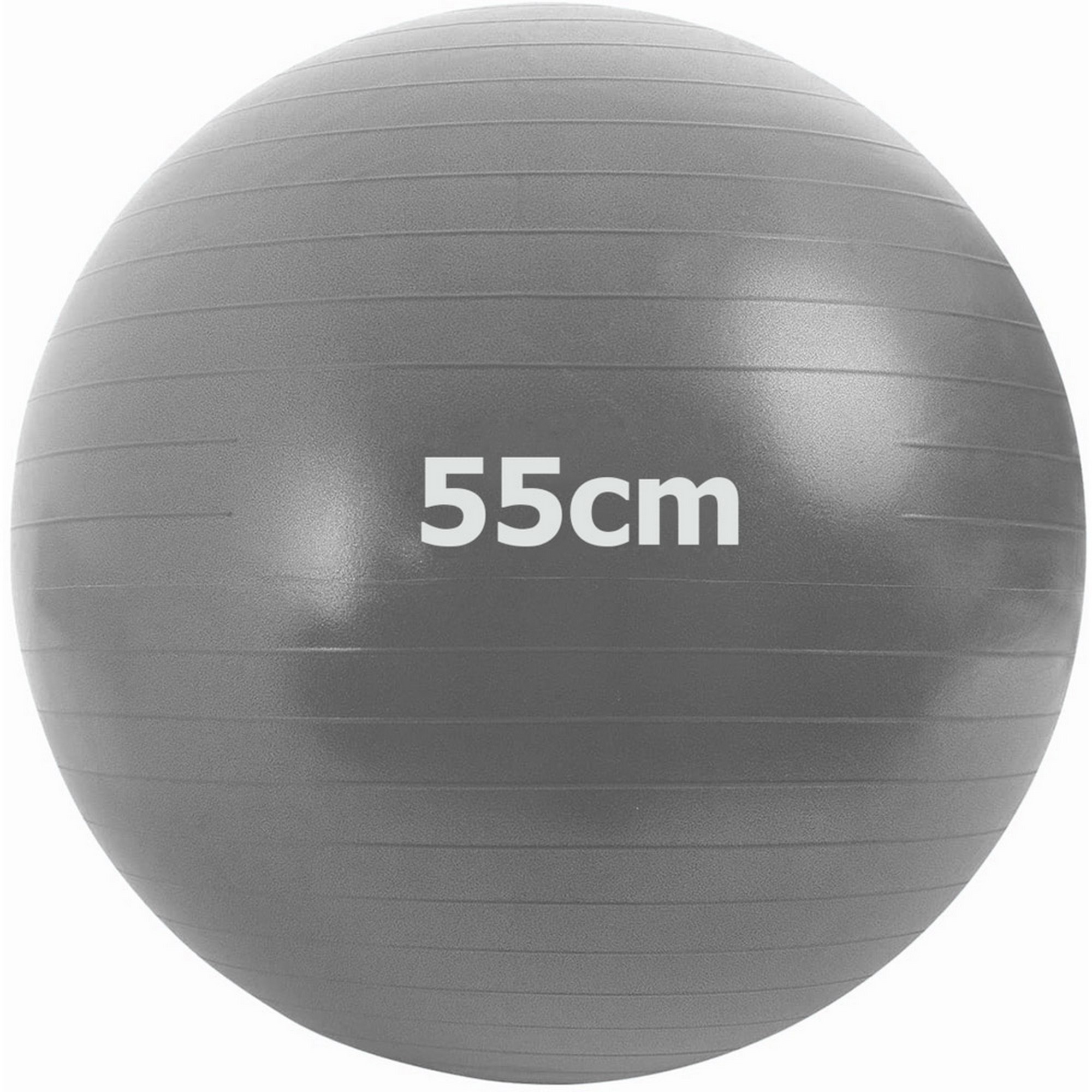 Мяч гимнастический Anti-Burstl d55 см Sportex GMA-55-A серый 2000_2000