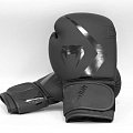 Перчатки тренировочные 10 oz Venum Rumble Advance 05089-114 черный 120_120