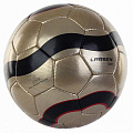 Мяч футбольный Larsen LuxGold р.5 120_120